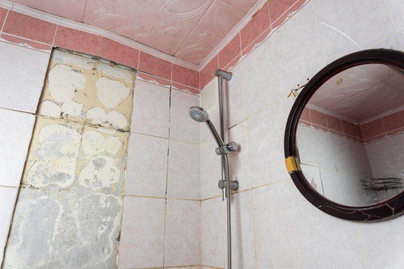 Tile and Shower Repair Specialists